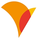 CAEM logo